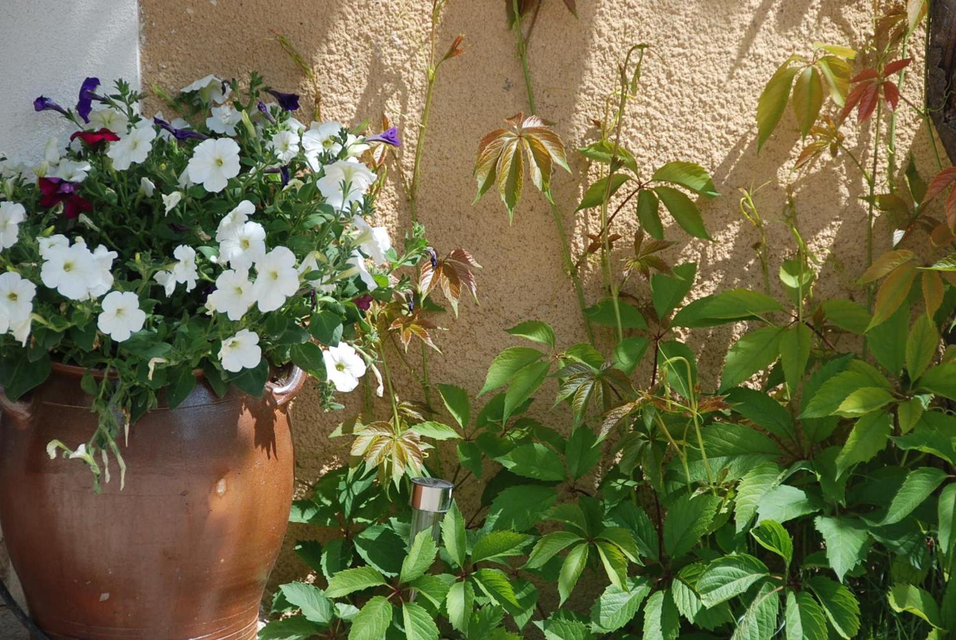 Le Domaine Saint Jean Saint-Saturnin-d'Apt Exterior foto