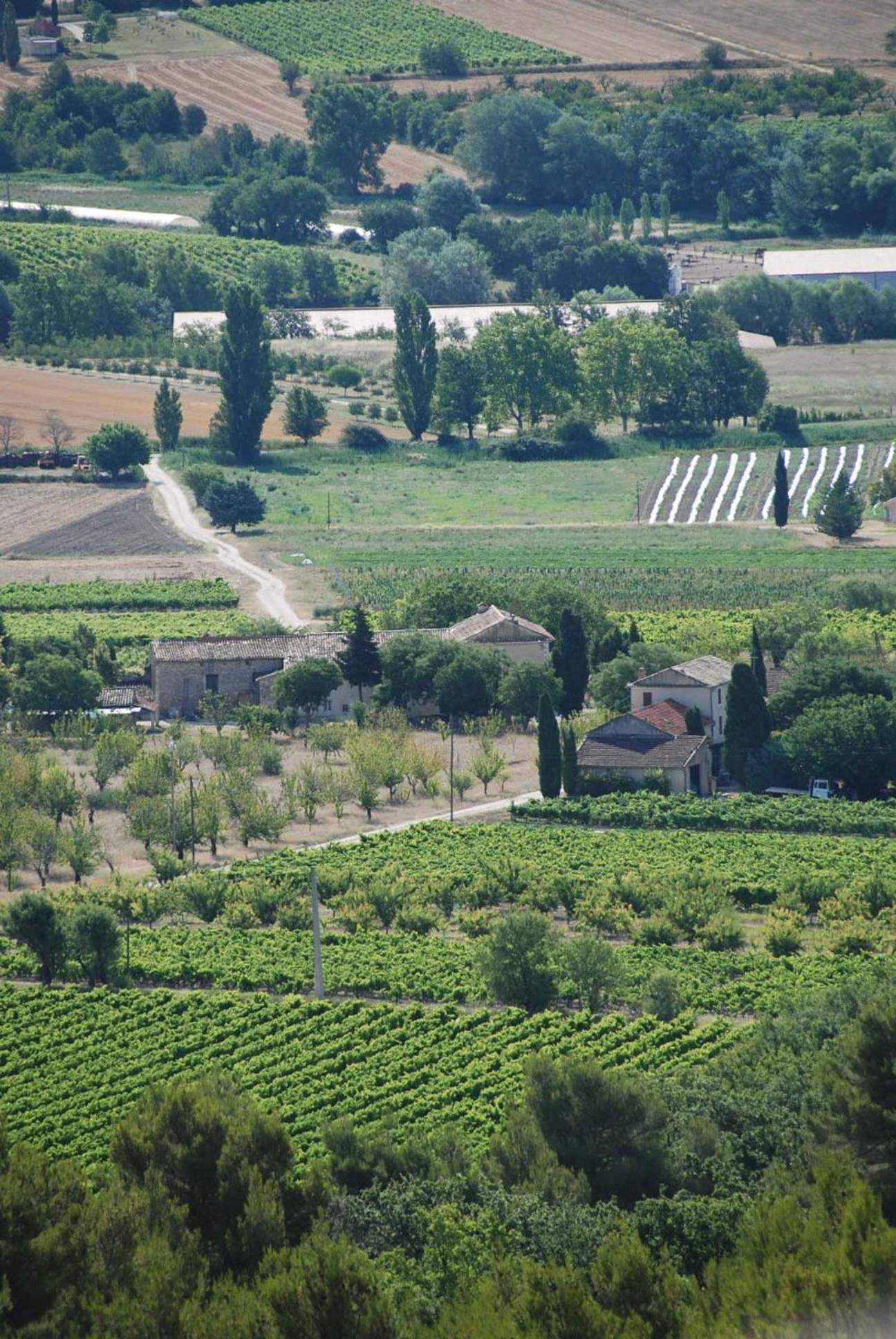 Le Domaine Saint Jean Saint-Saturnin-d'Apt Exterior foto