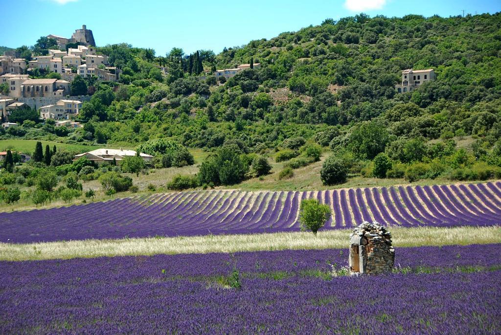 Le Domaine Saint Jean Saint-Saturnin-d'Apt Exterior foto